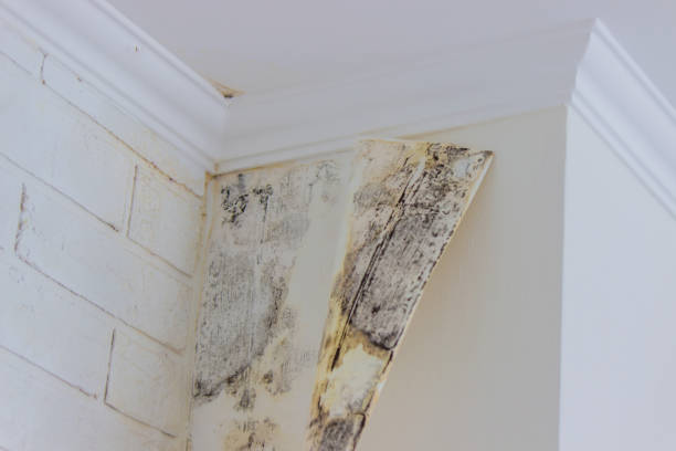 Water damage restoration process in West Cape May, NJ